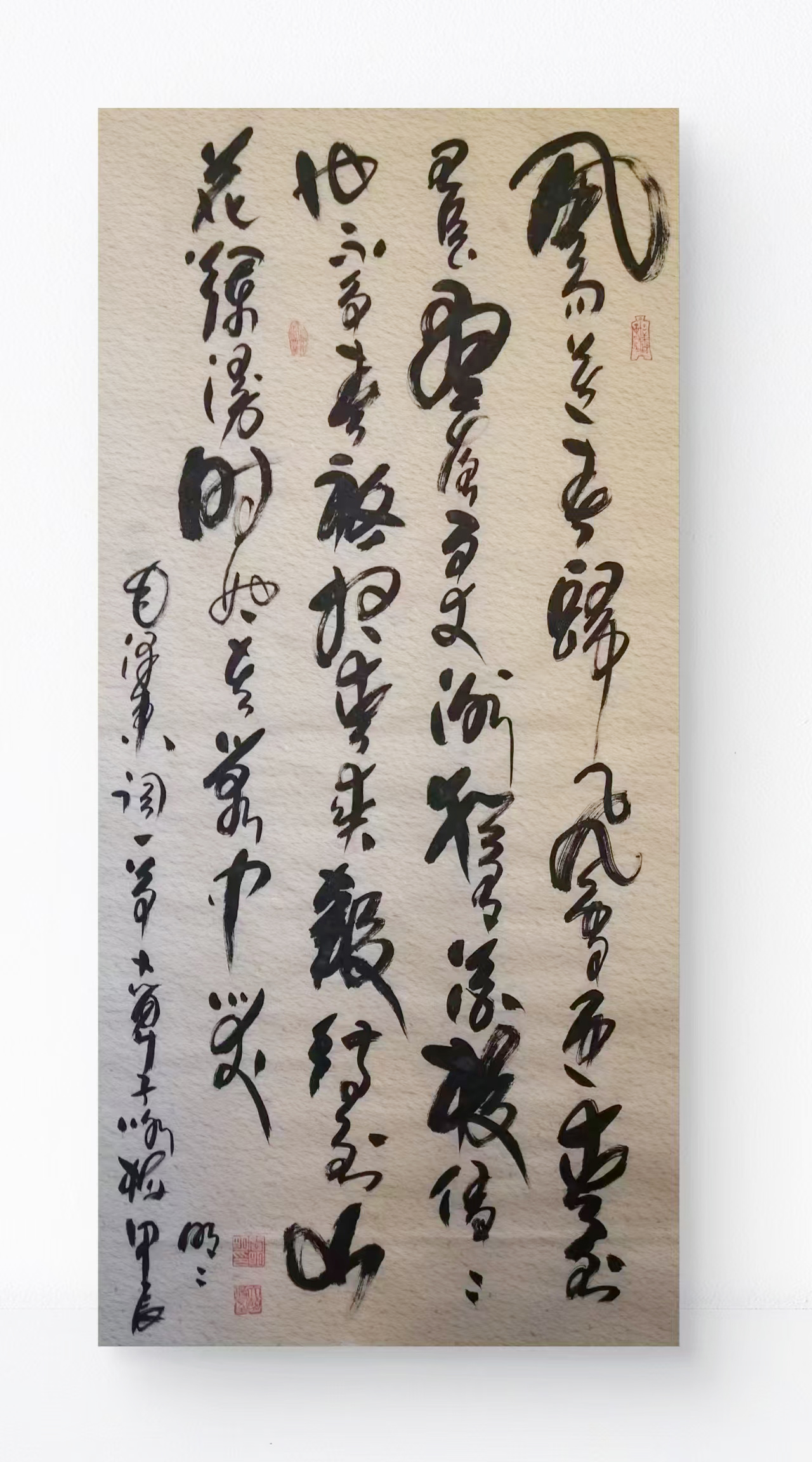 闫明明作品10 《卜算子·咏梅》